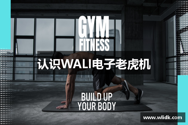 认识WALI电子老虎机